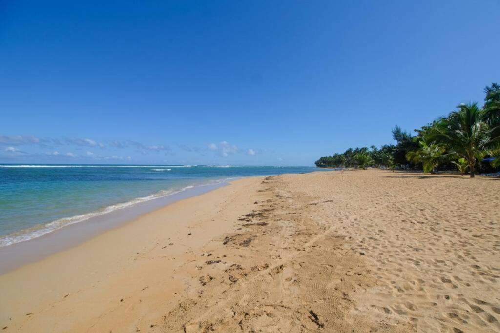Palmeraie Terrenas Beach Apartamento Las Terrenas Exteriör bild